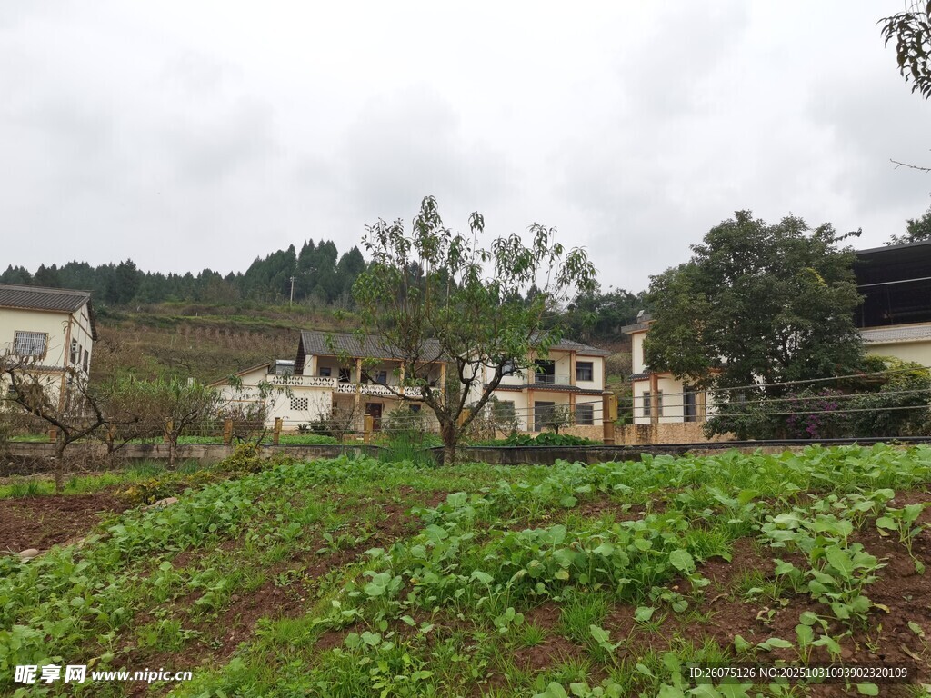 乡村田园风光景色