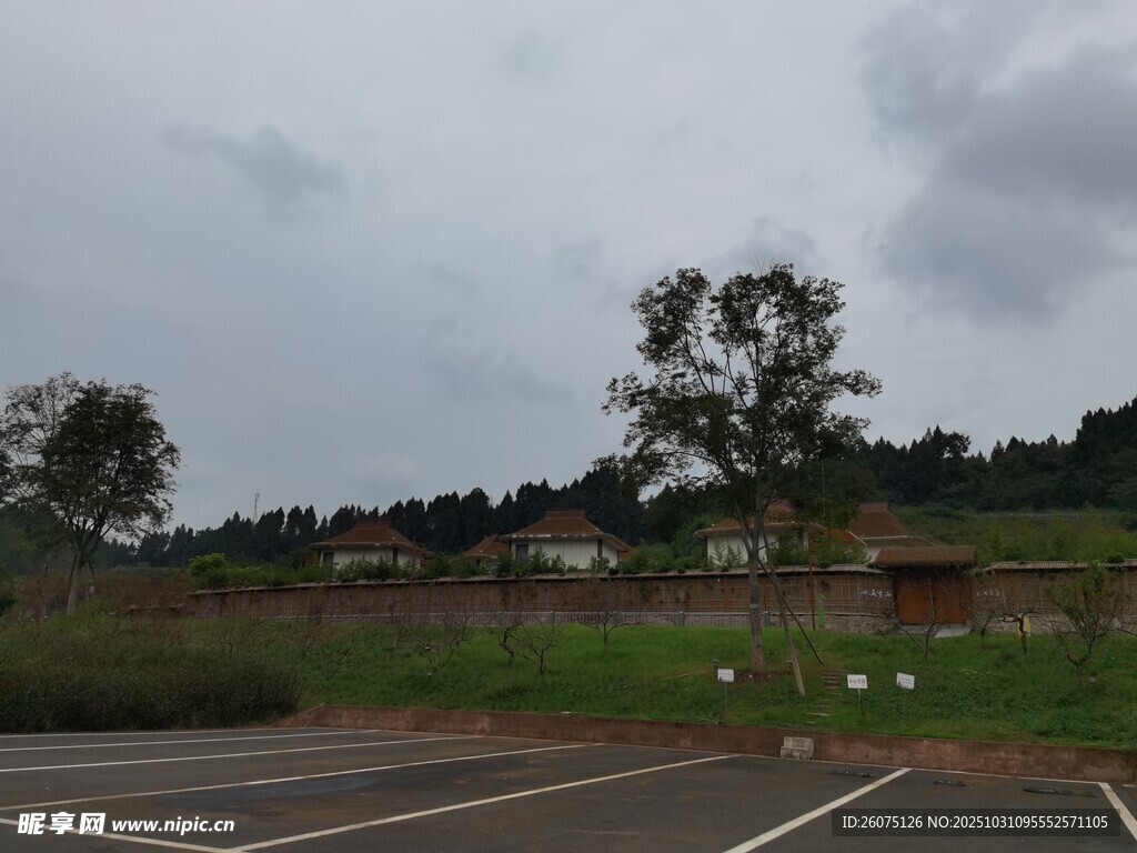 阴天停车场外的自然景致