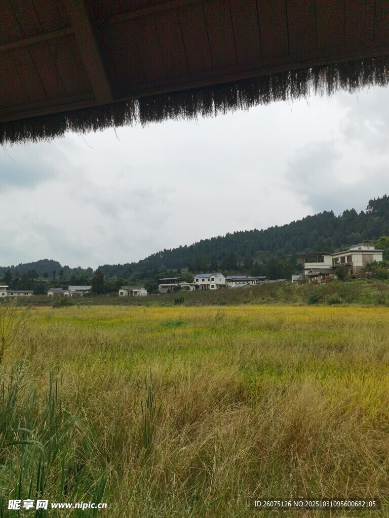 乡村田野风景图