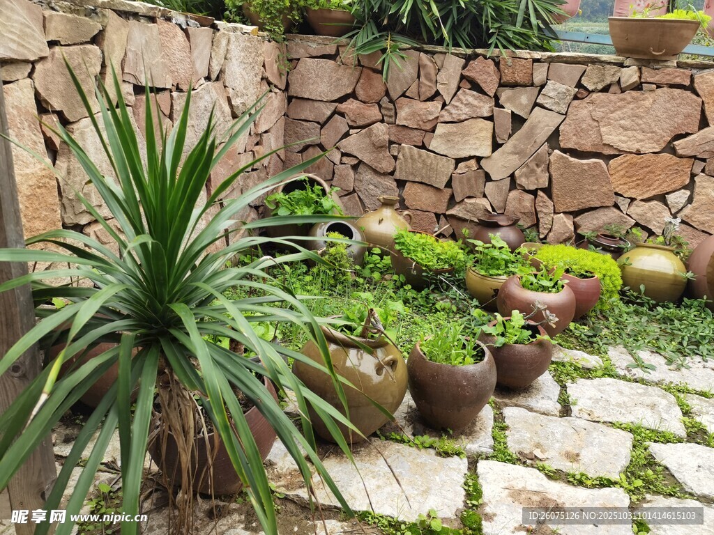 石砌庭院中的绿植与陶罐