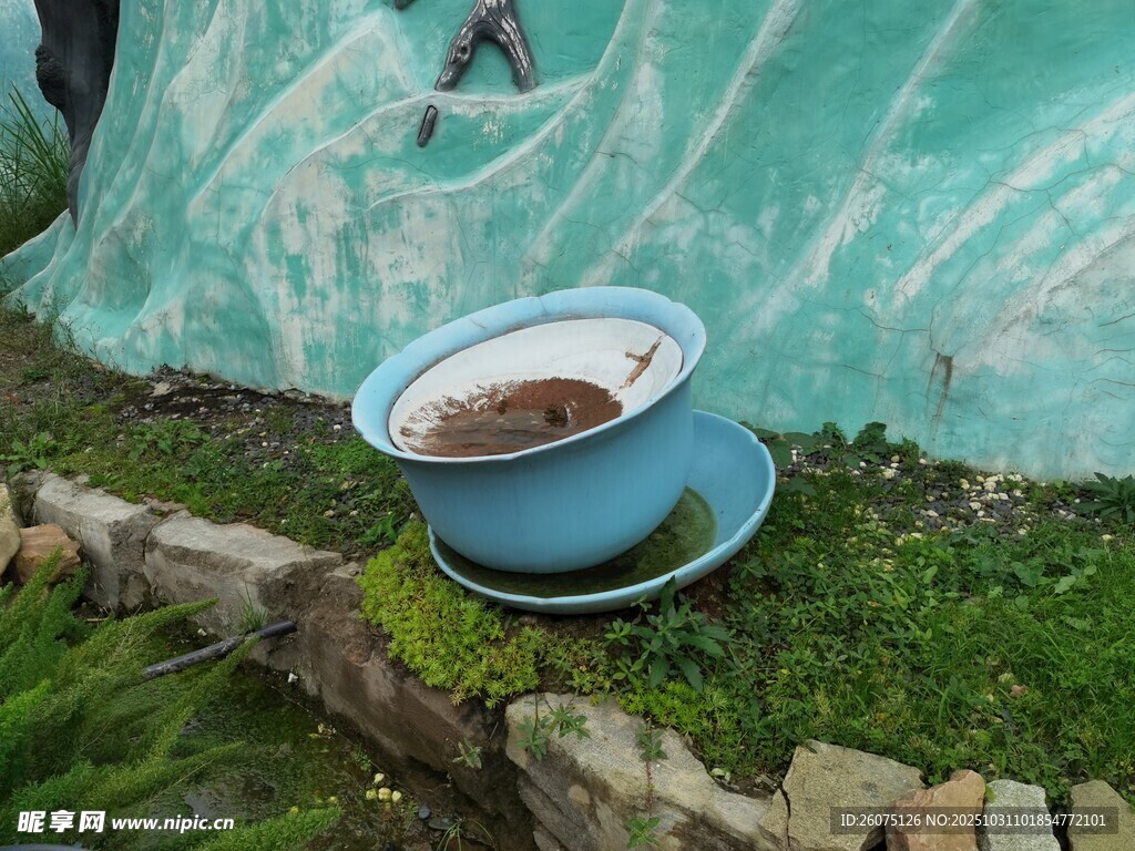 户外旧盆中的泥土与绿植