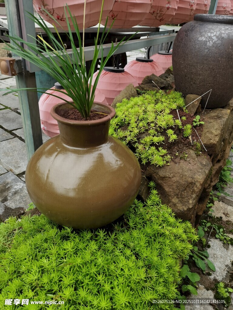 古朴陶瓶与翠绿苔藓植物