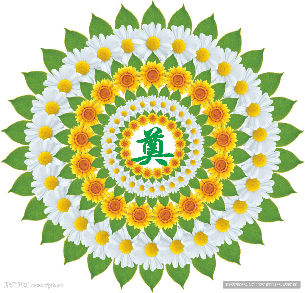 曼陀罗风格花卉装饰图案