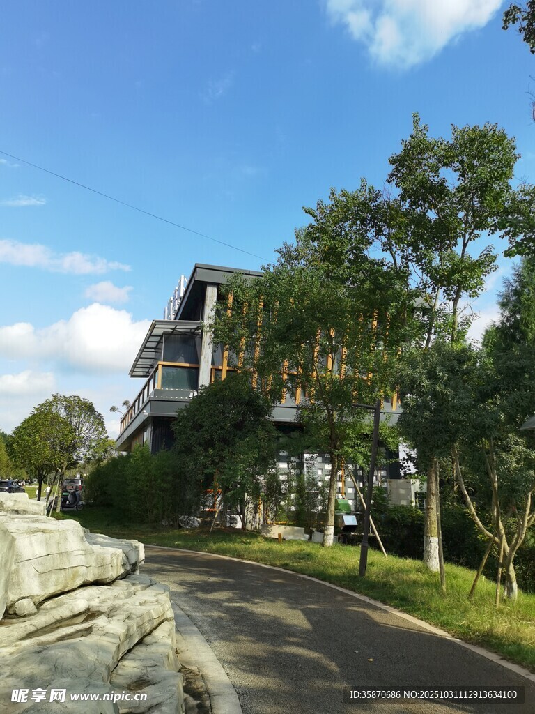 宁静路旁的现代建筑景观