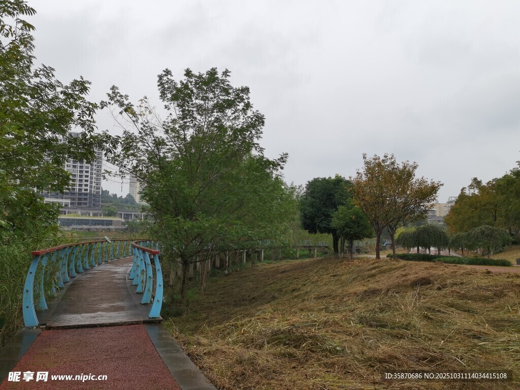 公园中的蓝桥与绿化景观