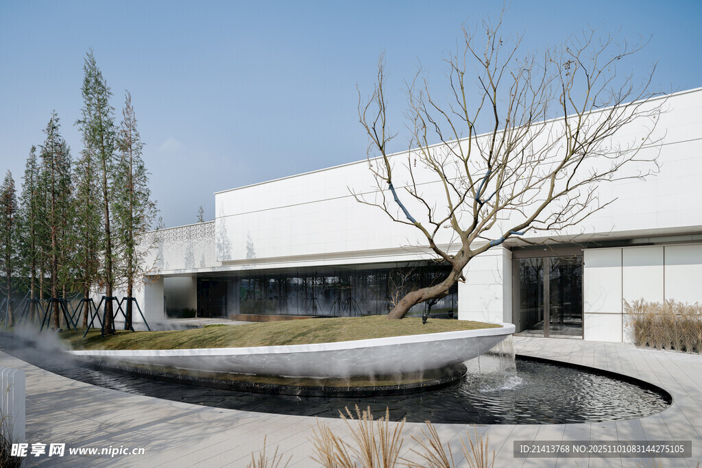 现代庭院景观设计示例