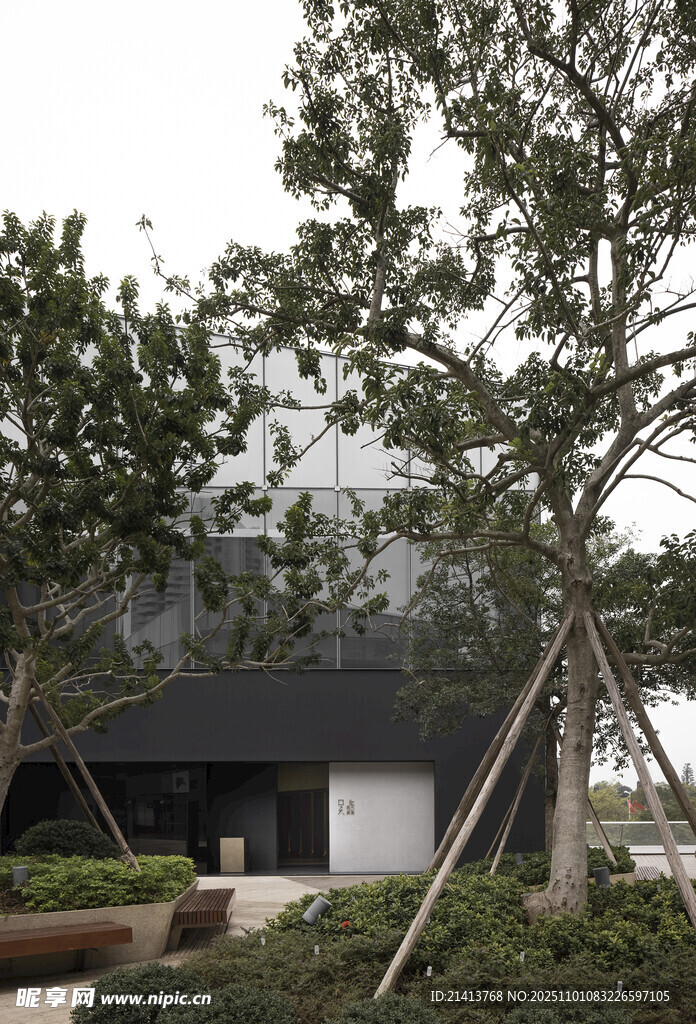 现代庭院景观中的树木建筑