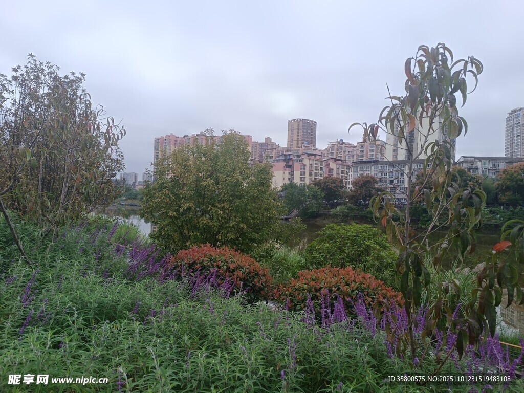 城市中的多彩植物景观