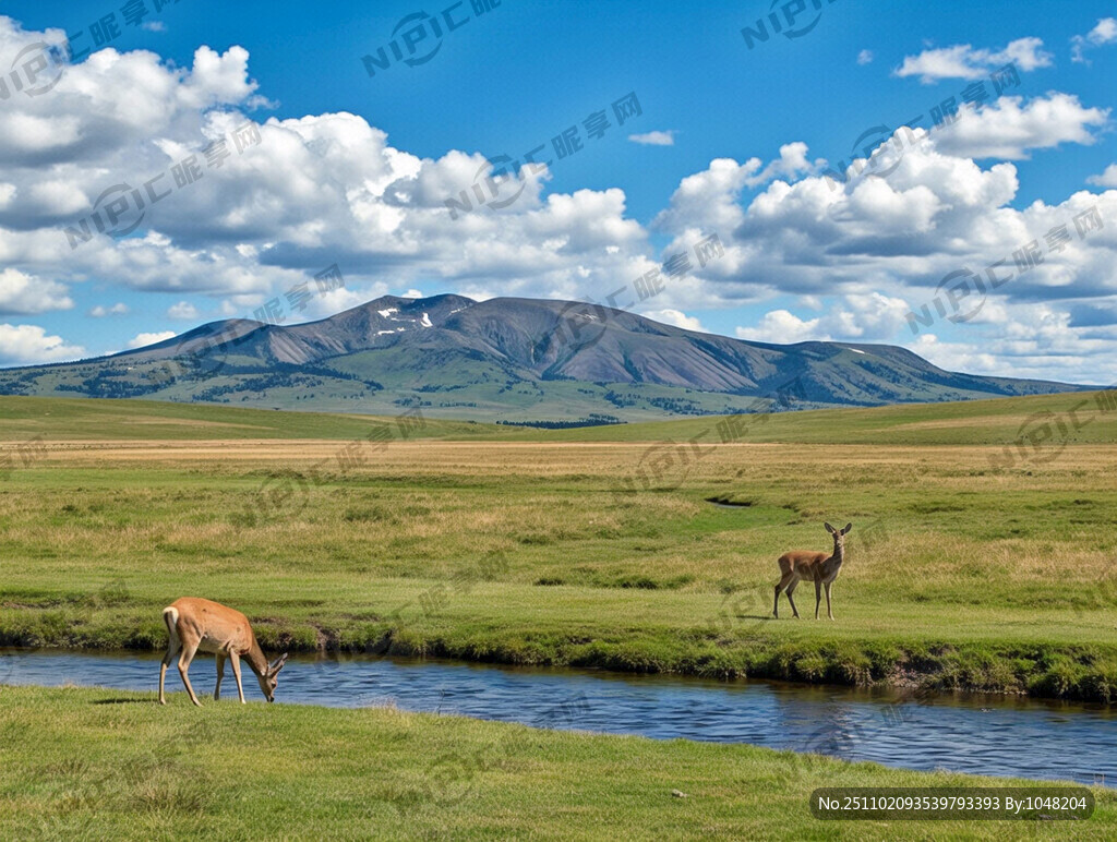 蓝天白云 远山 大片草原 