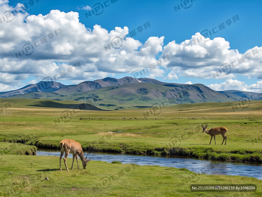 蓝天白云 远山 大片草原 