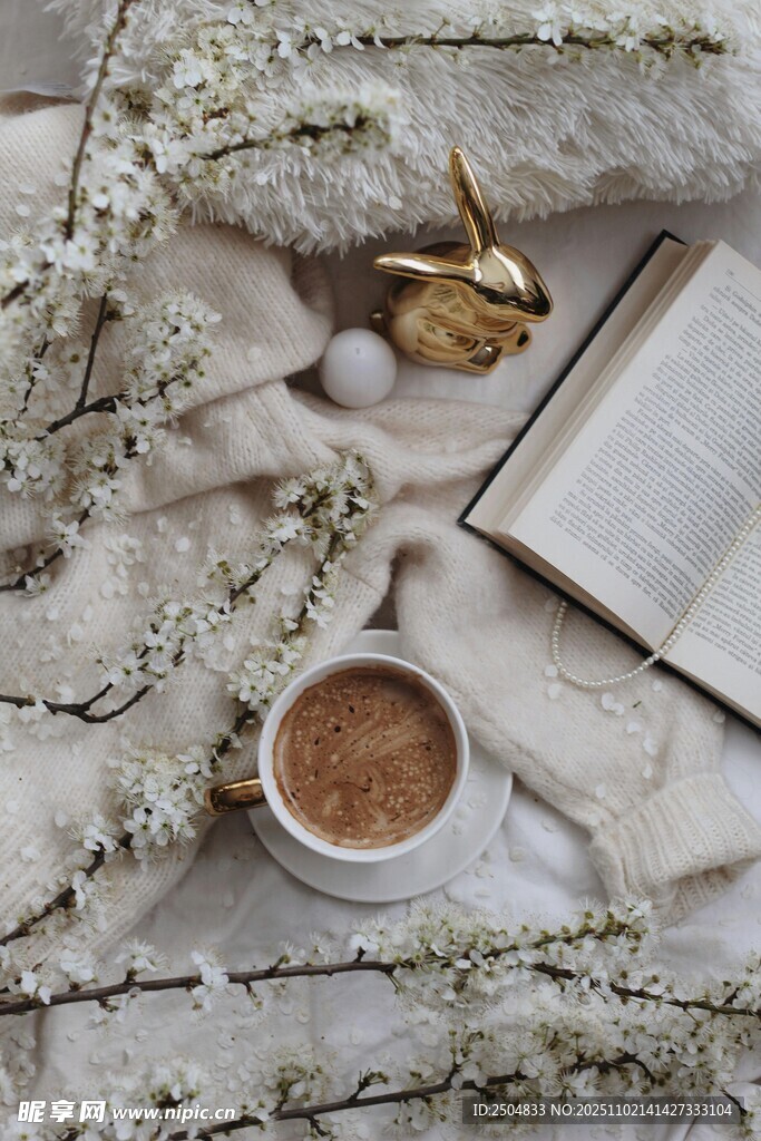 静谧午后阅读时光小景