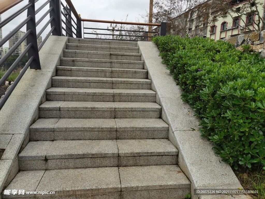 户外石阶旁绿植景观