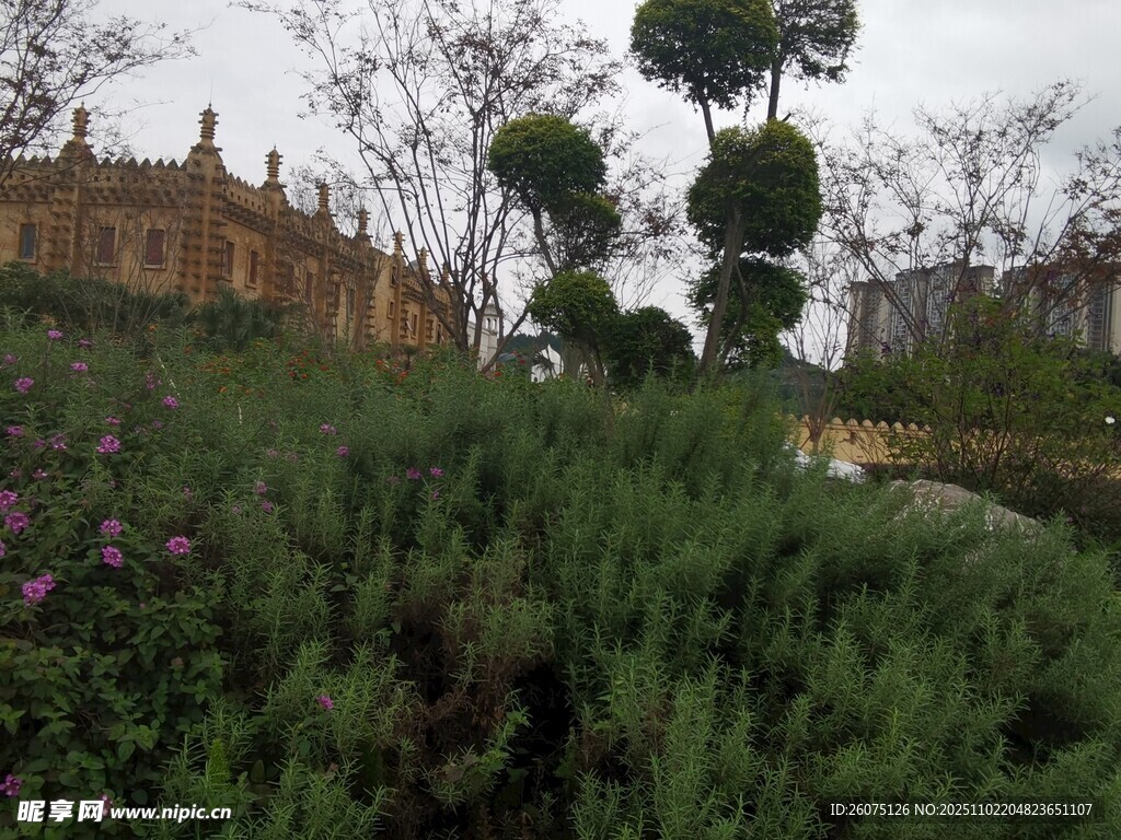 欧式园林景观绿植与建筑