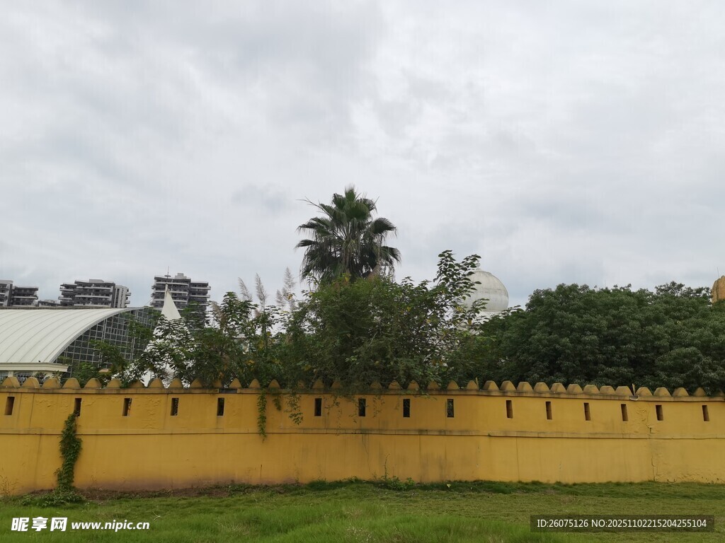 黄色围墙旁的绿植与建筑
