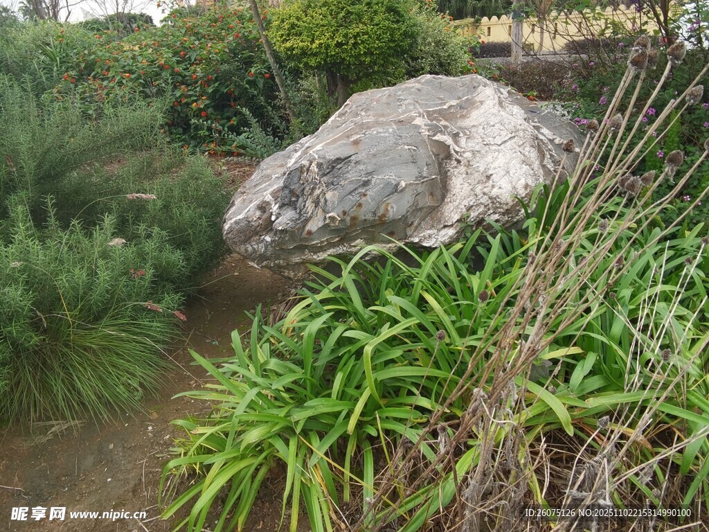 园林中巨石与绿植景观