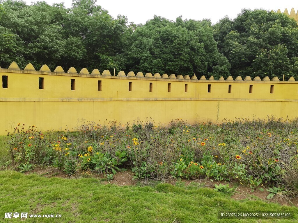 黄色围墙旁的绿植景观
