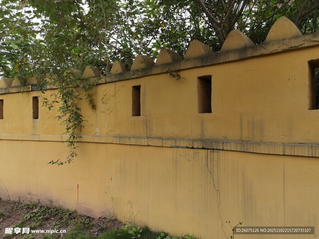 古朴黄墙配绿植小窗