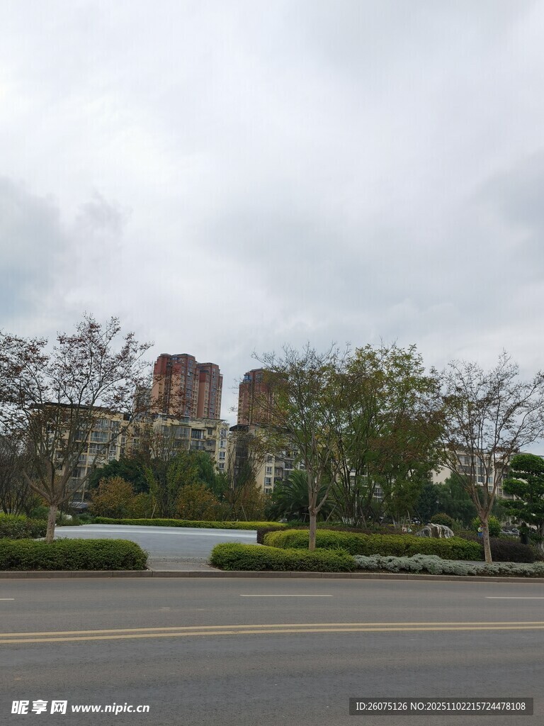 城市道路旁的建筑与绿化