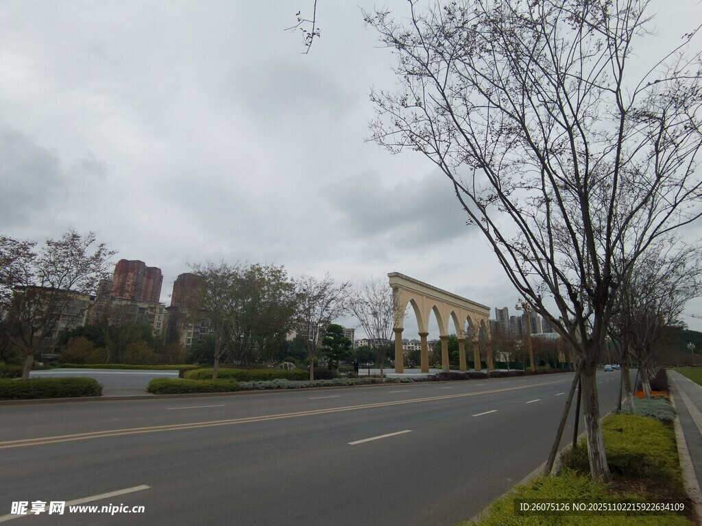 城市道路旁的萧瑟景象