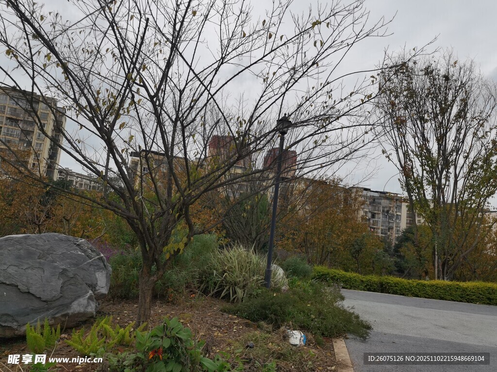 小区内的静谧绿化景观