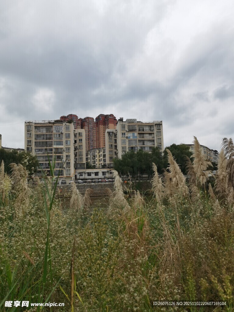 草地旁的多层居民建筑群