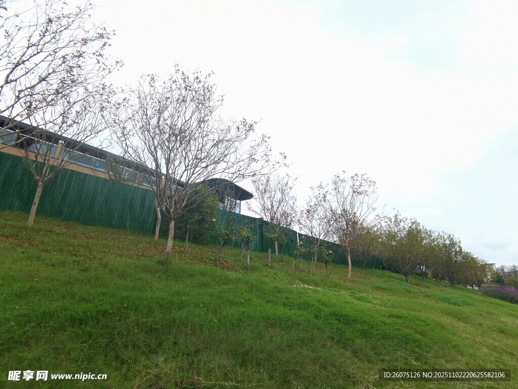 户外草地旁的建筑景观