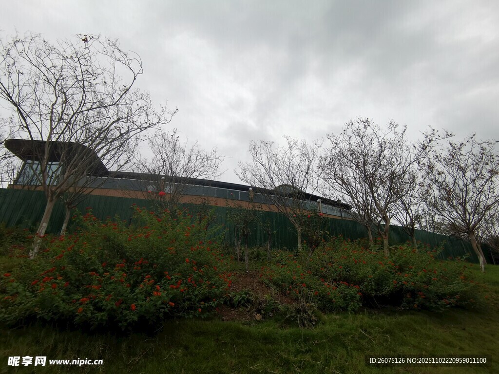 阴天中的建筑与草木景观