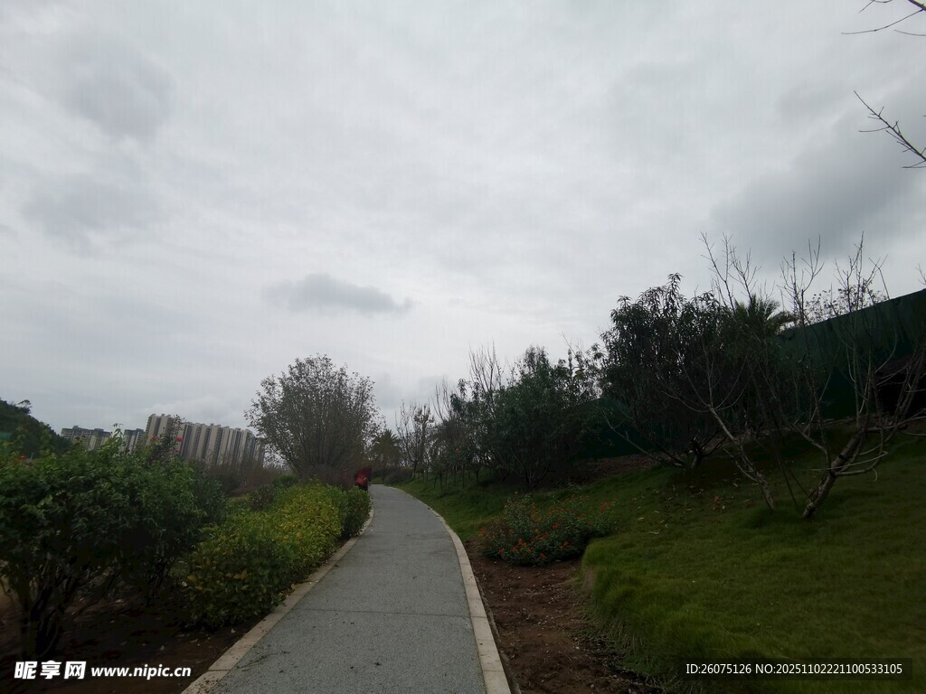 阴天的林间蜿蜒小路