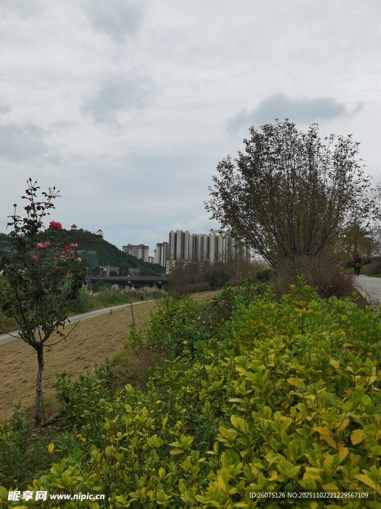 郊外绿意盎然的自然景致