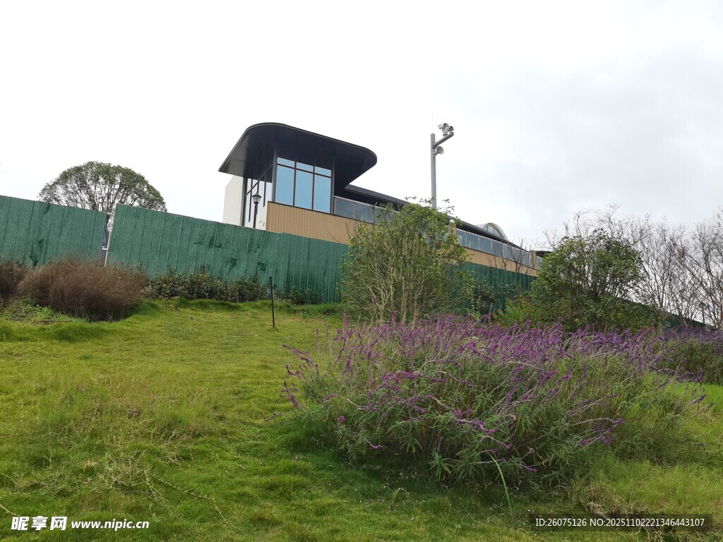 山坡上的小屋与绿植景观