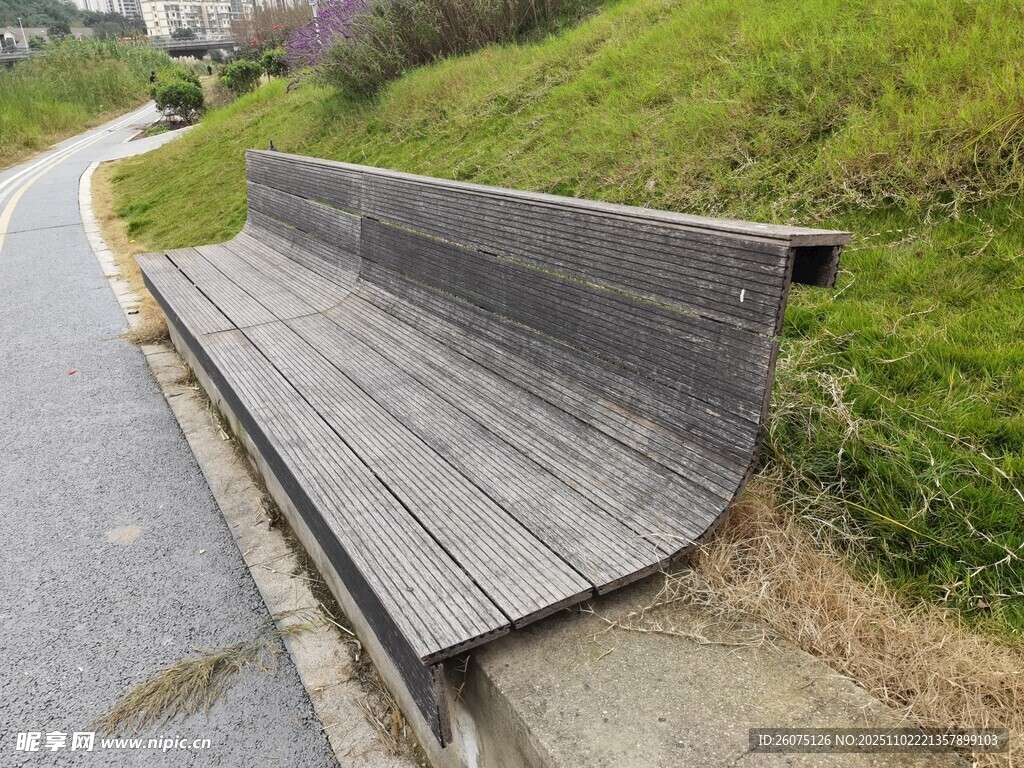 路边木质长椅静享自然