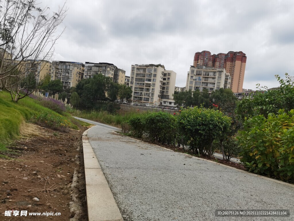 城市中的宁静小路景观