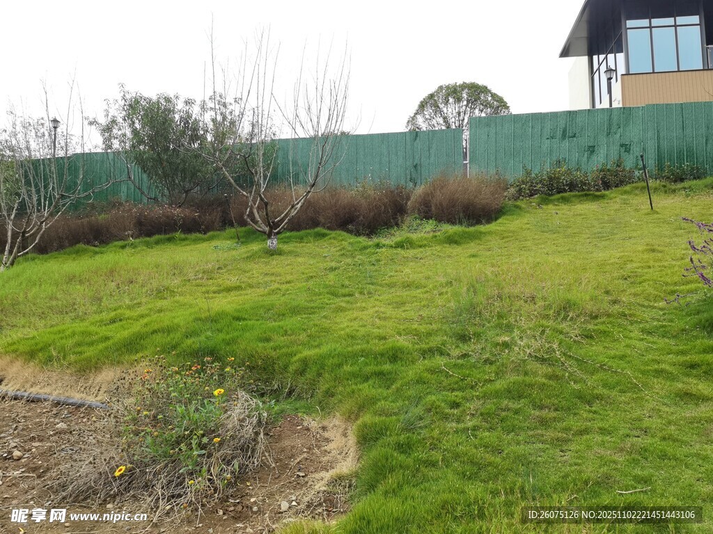 户外绿地与建筑景观