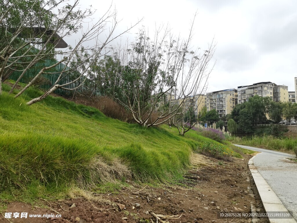 城郊绿植小径风景