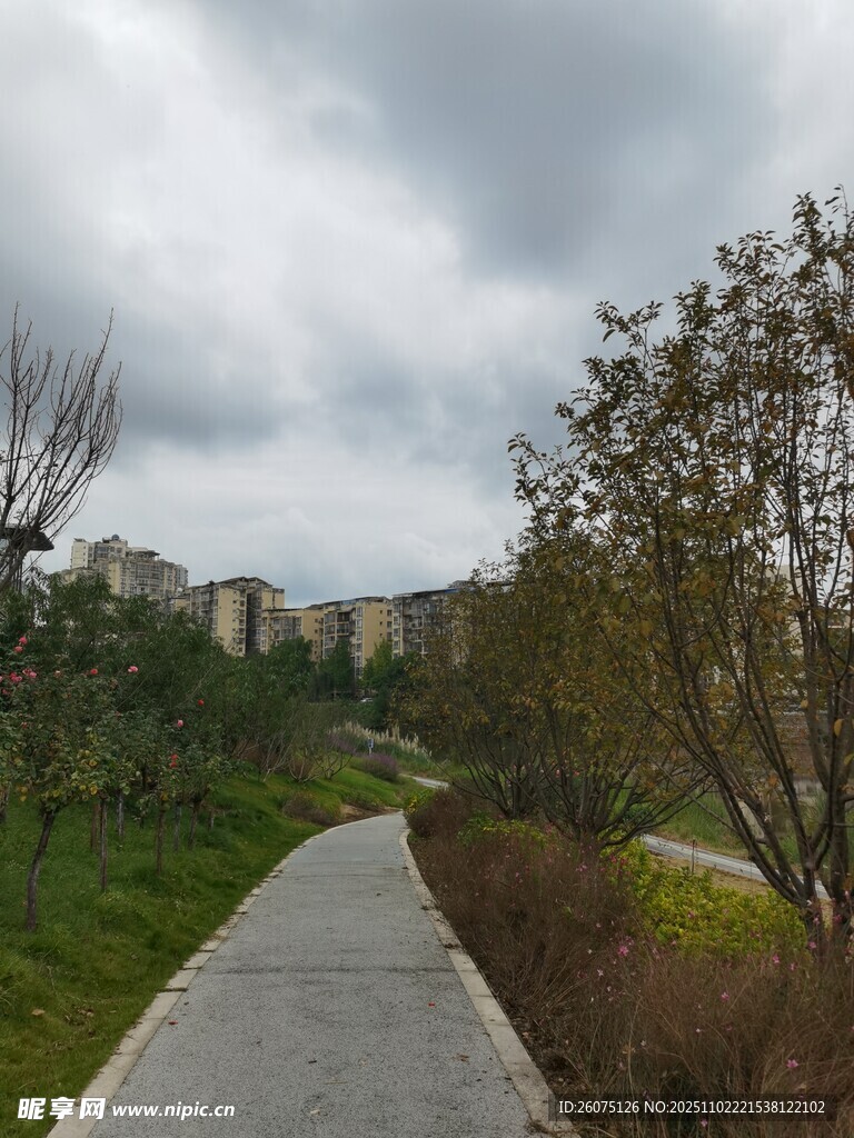 郊外小径自然清新景致