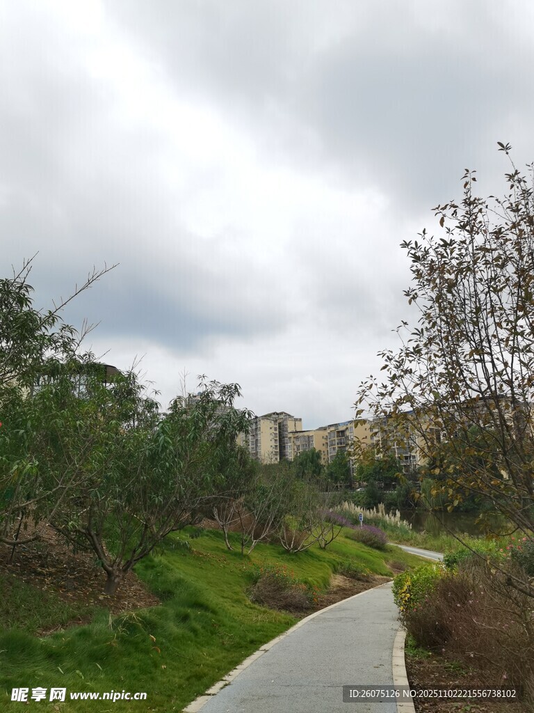 郊外蜿蜒小路旁绿植繁茂