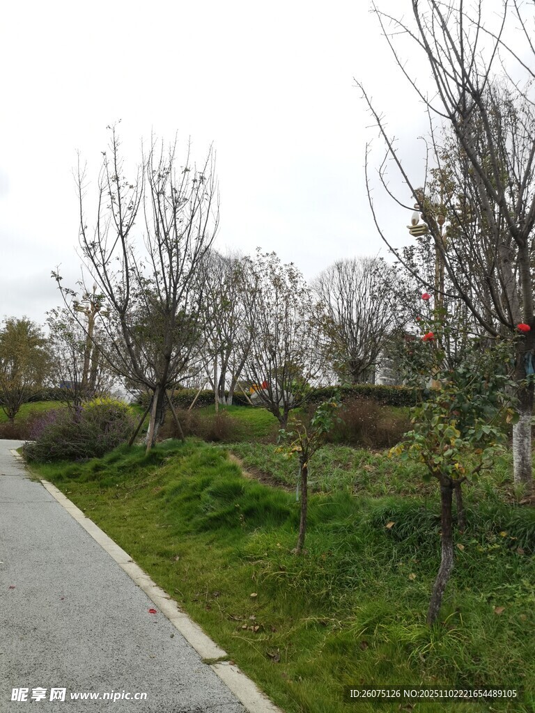 春日郊野小路风景
