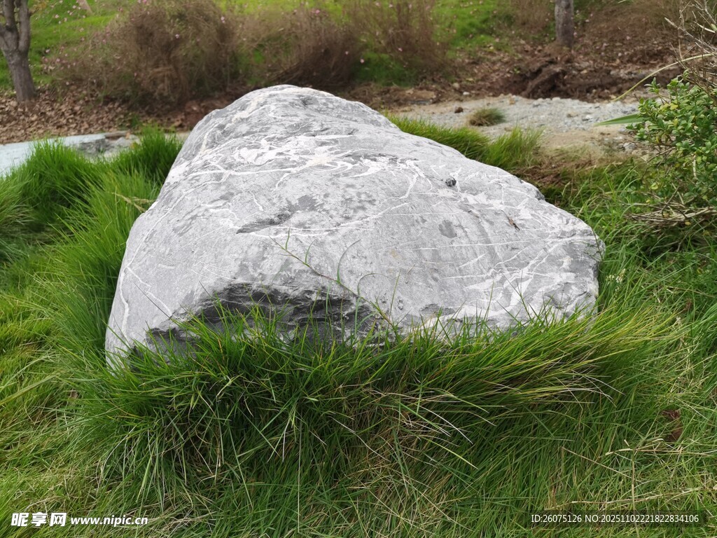 草地上的巨大白色石头