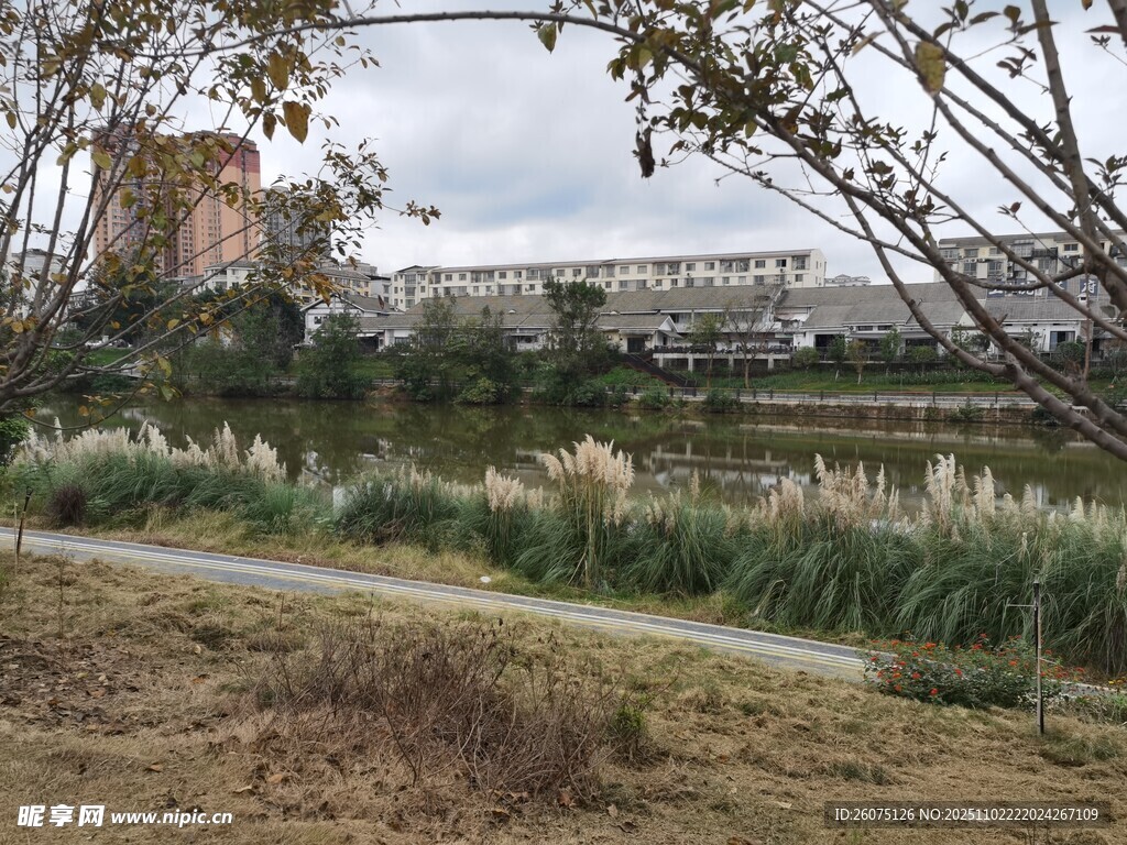 城郊自然景观小径