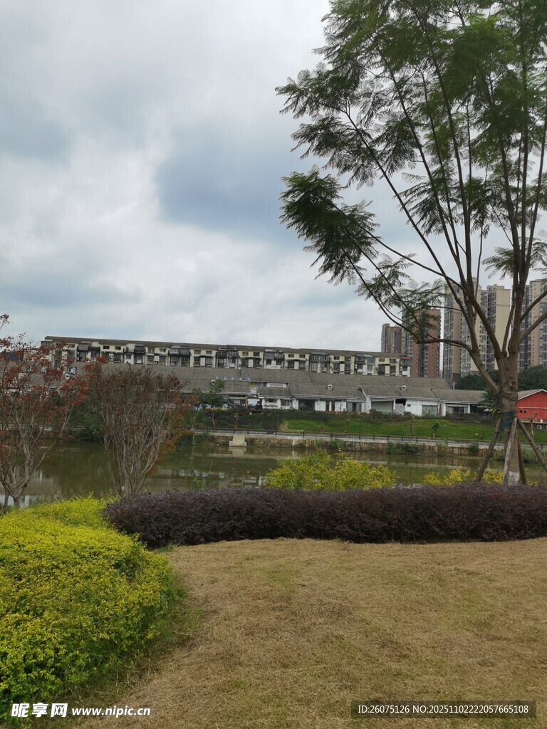 城市园林景观一角