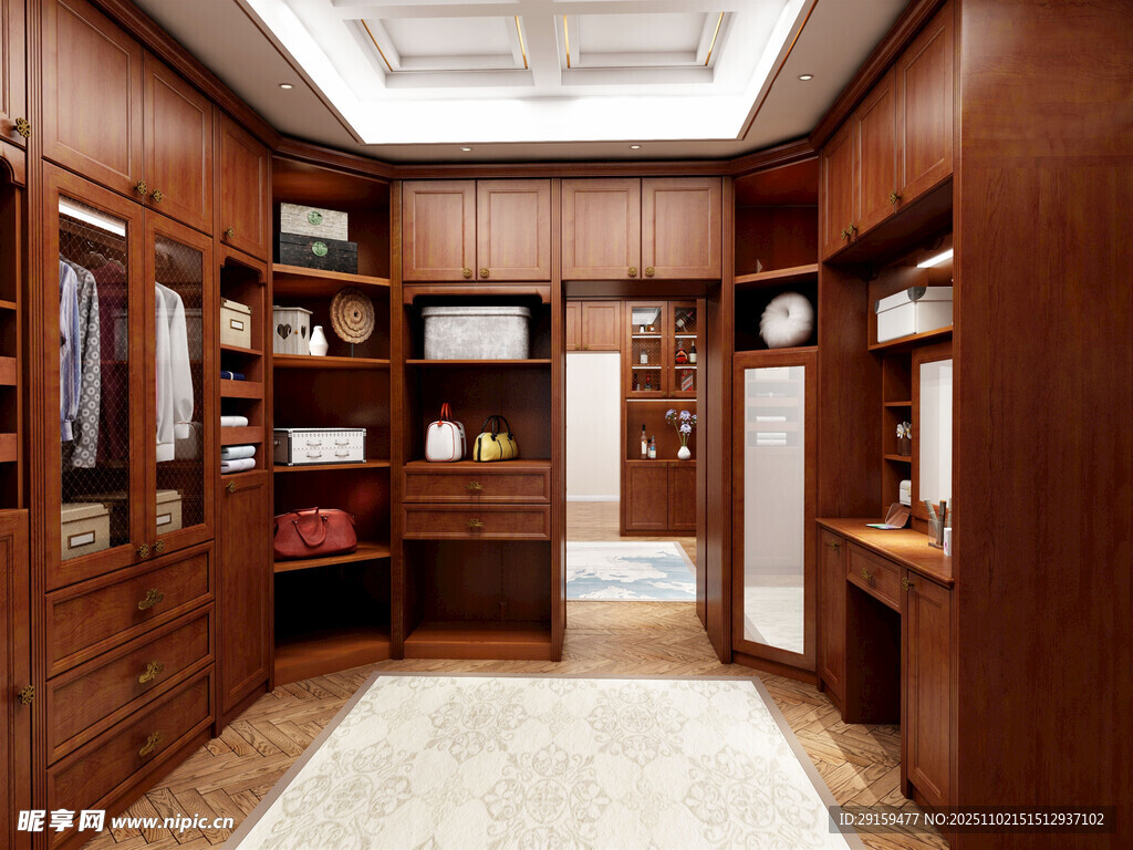 豪华木质衣帽间室内展示