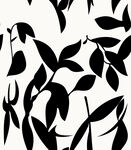 黑白树叶图案纹理背景