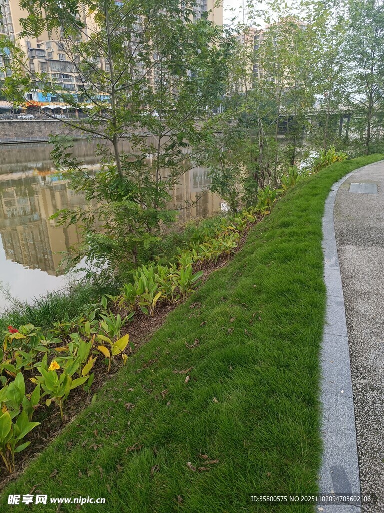 城市河畔绿意盎然步道景观