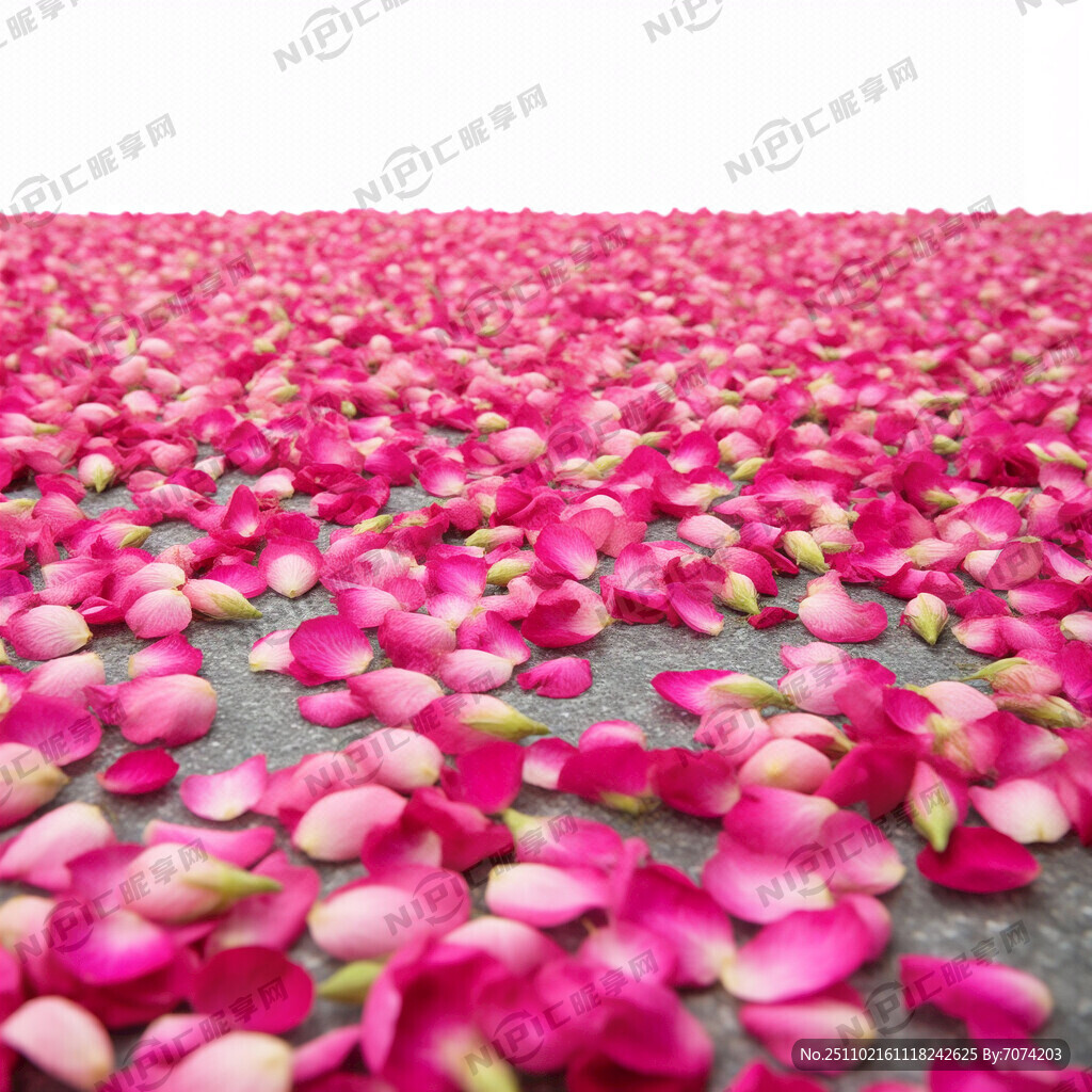 铺满鲜花 玫红色