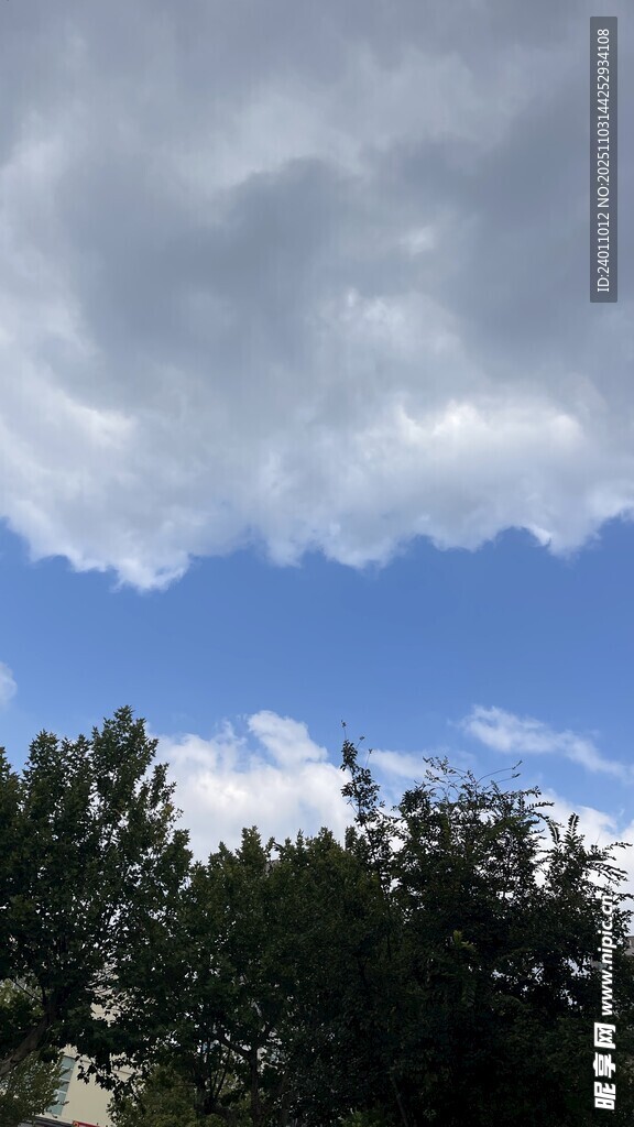 蓝天白云下的葱郁树木