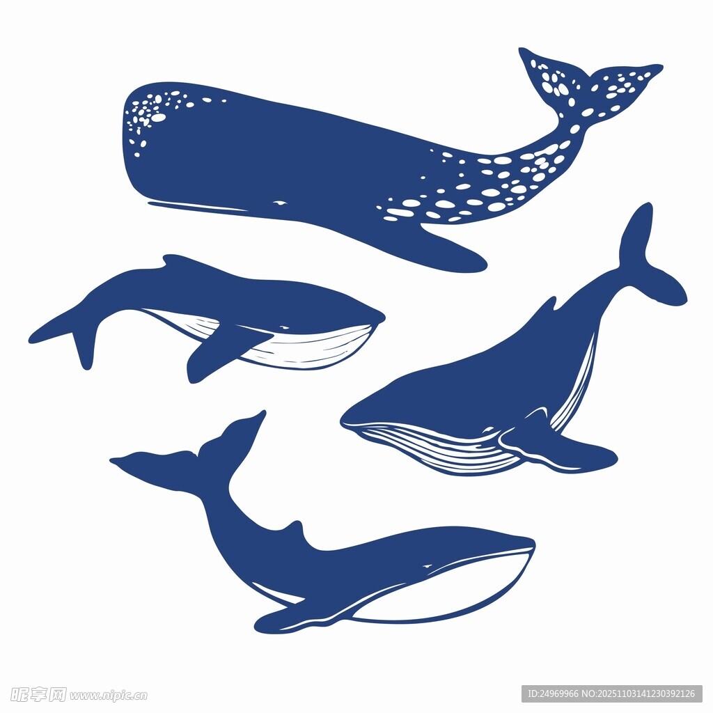 四只鲸鱼插画图案