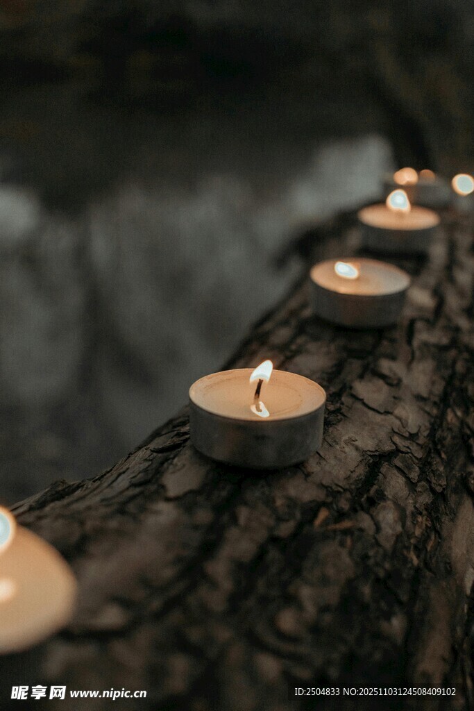 木头上点燃的一排蜡烛