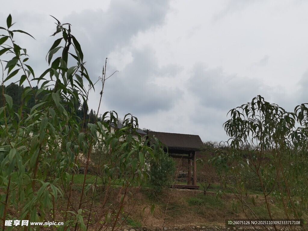 乡村野外小屋与繁茂草木