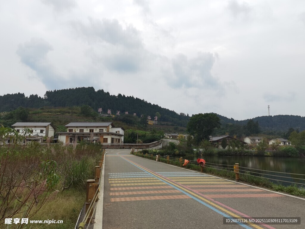 乡村公路旁的宁静风光