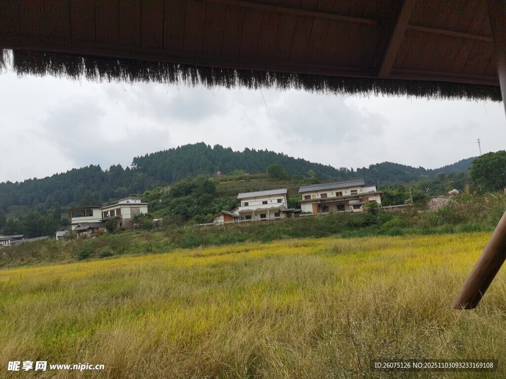 田园风光中的村落景致